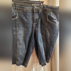 Venezia Denim Shorts